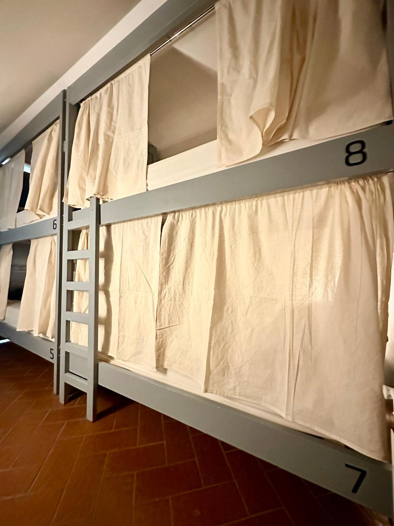 Gorilla Hostel 멘도사 객실 사진